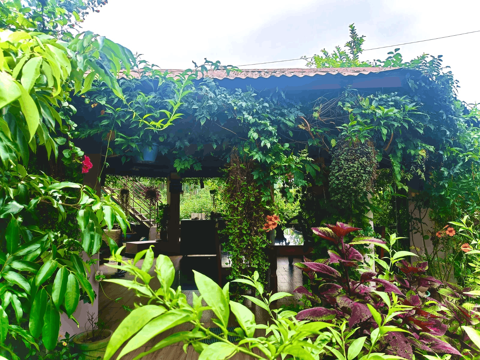 Sparrow Nest Corbett Homestay Building Amidst Nature