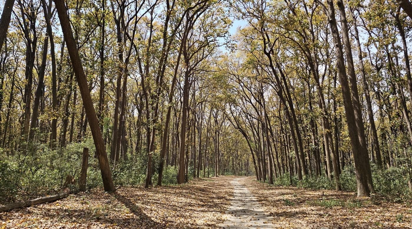 Sparrow Nest Corbett Homestay - Jim Corbett